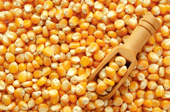 Produto 750